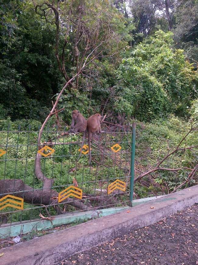 18 Rekomendasi Wisata Cirebon Terbaik dan Wajib Dikunjungi