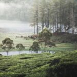 20 Wisata Jawa Barat yang Wajib Dikunjungi untuk Healing