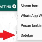 Cara Menampilkan Jumlah Pemutaran di WA Status Berapa Kali?