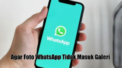 Agar Foto WhatsApp Tidak Masuk Galeri