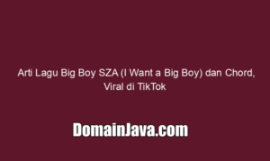 Arti Lagu Big Boy SZA (I Want a Big Boy) dan Chord, Viral di TikTok