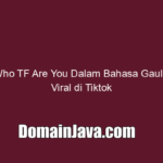 Arti Who TF Are You Dalam Bahasa Gaul yang Viral di Tiktok