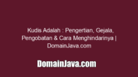 Kudis Adalah : Pengertian, Gejala, Pengobatan & Cara Menghindarinya | DomainJava.com