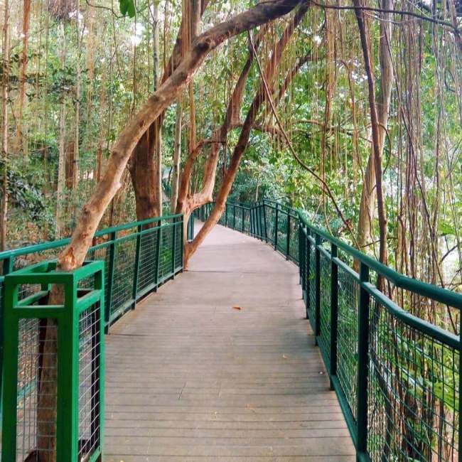 Alamat dan Lokasi Forest Walk