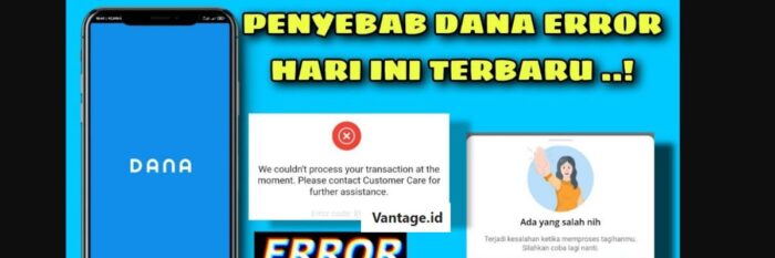Alasan Aplikasi DANA Error Tidak Bisa Transfer