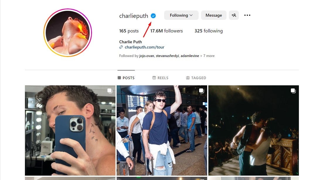 Apa-Sih-Centang-Biru-IG-Itu