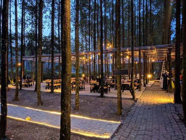 Awal Berdirinya Hutan Kertas Karawang