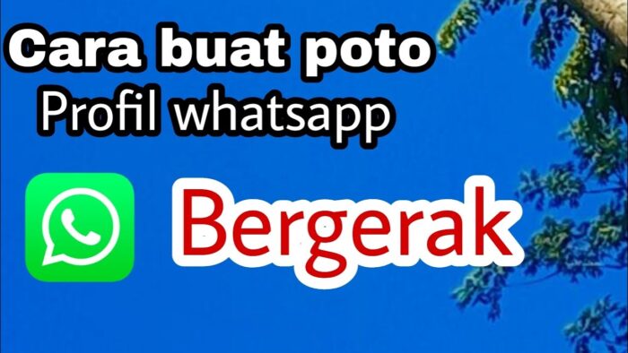 Cara Menggunakan Profil WhatsApp Bergerak