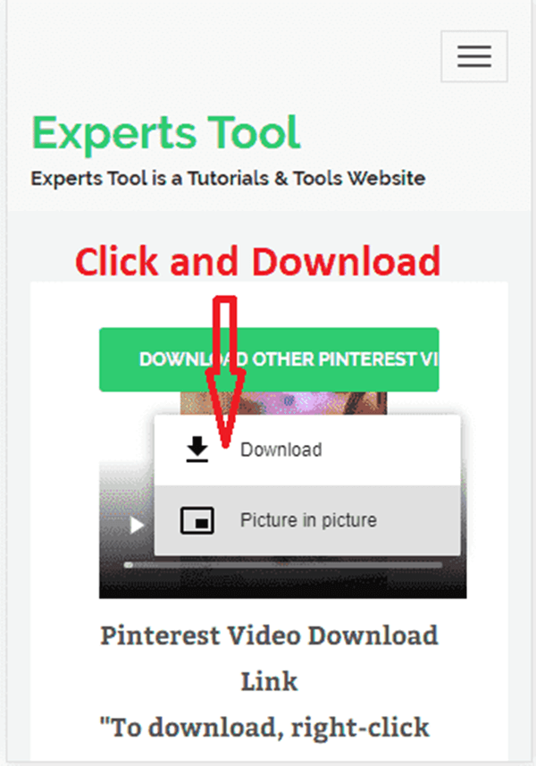 Cara download Snack Video tanpa watermark melalui situs Experts Tool