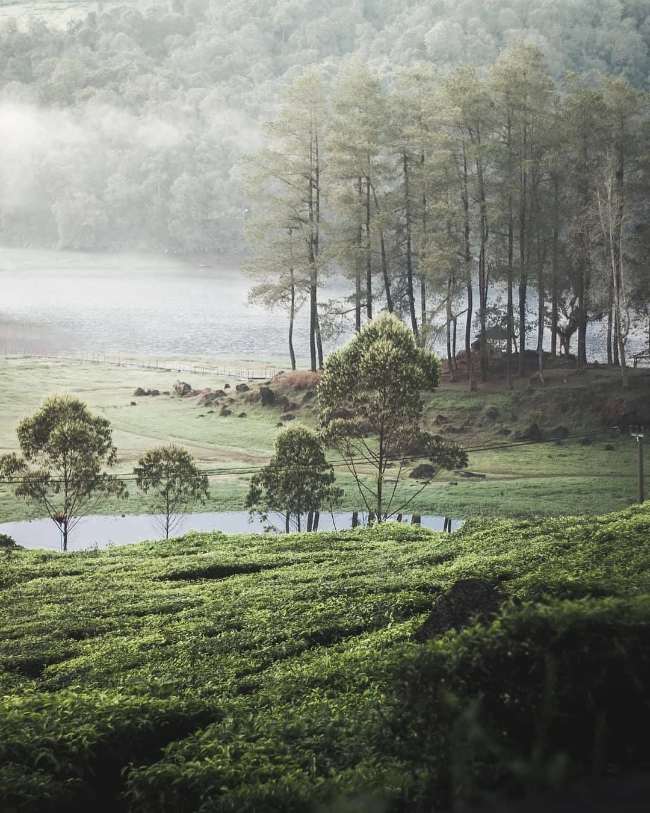 Danau Situ Patenggang