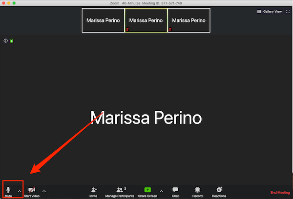 Matikan suara Zoom lewat laptop