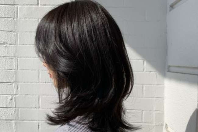 Medium Length Segi Layer