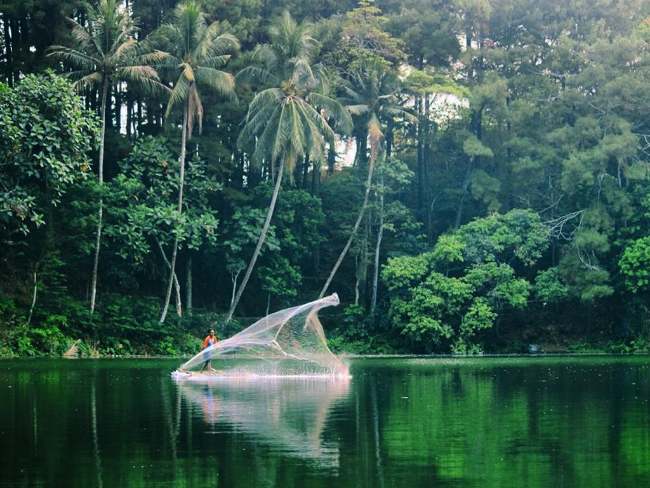 Wanawisata Ciwaringin