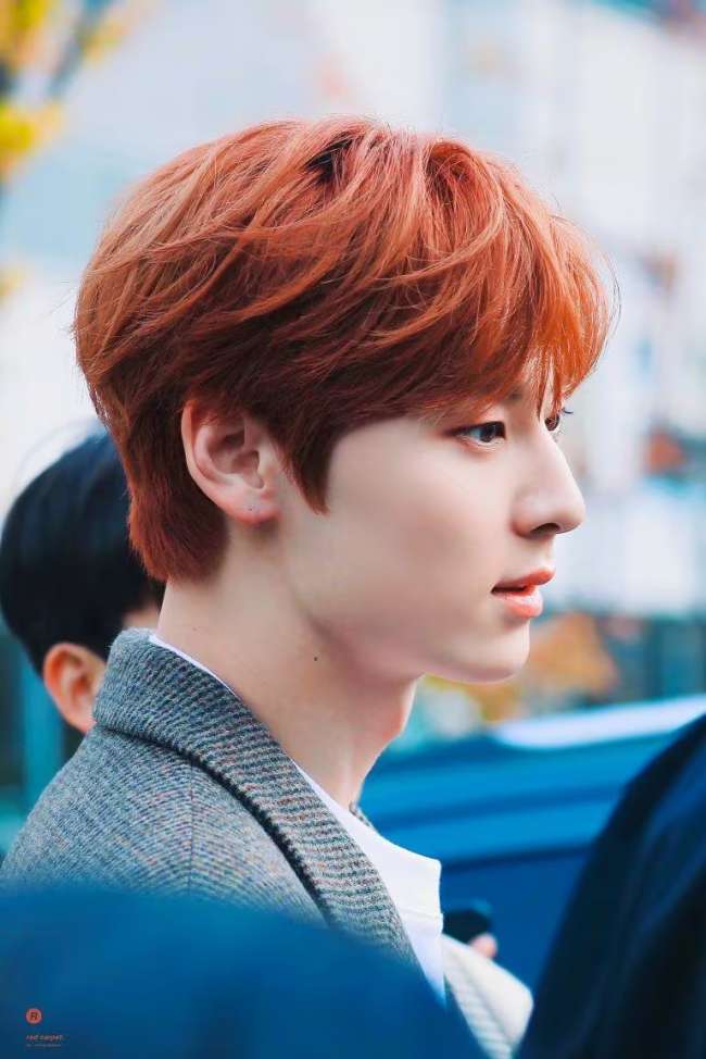 Warna Ginger Kemerahan