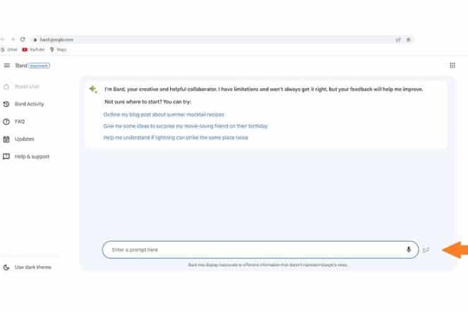 contoh penggunaan google bard