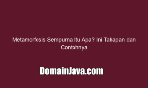 Metamorfosis Sempurna Itu Apa? Ini Tahapan dan Contohnya