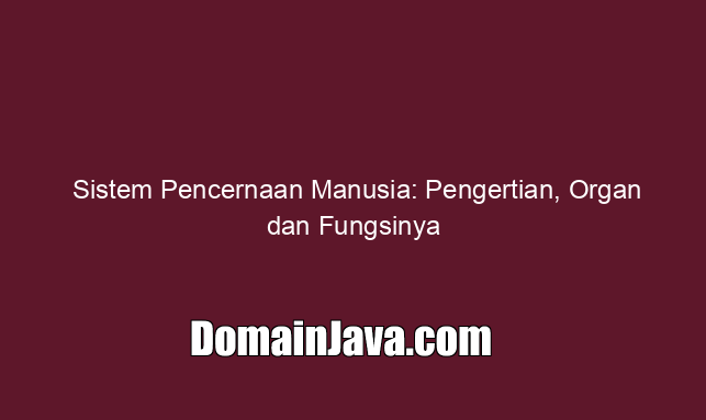 Sistem Pencernaan Manusia: Pengertian, Organ dan Fungsinya