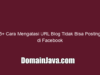 5+ Cara Mengatasi URL Blog Tidak Bisa Posting di Facebook