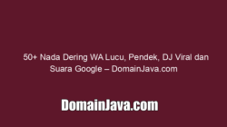 50+ Nada Dering WA Lucu, Pendek, DJ Viral dan Suara Google – DomainJava.com