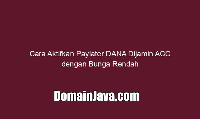 Cara Aktifkan Paylater DANA Dijamin ACC dengan Bunga Rendah