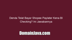 Denda Telat Bayar Shopee Paylater Kena BI Checking? Ini Jawabannya